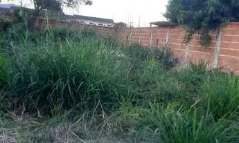 Imagem 3: Terreno massaguaçu