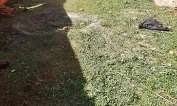 Imagem 7: Terreno - Jardim Prestes de Barros 150,00m²