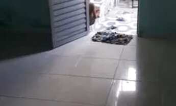 Imagem 7: Casa para venda com 3 quartos em Nova Brasília - Salvador - Bahia