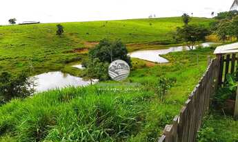 Imagem 2: Venda - Sítio - Vale do Anari - 25 Alqueires Top