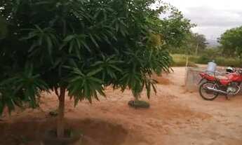 Imagem 6: SÍTIO com uma tarefa