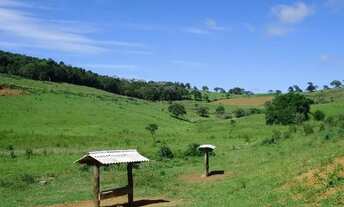 Imagem: Ótima fazenda de 40 alqueires em Lagoinha-SP