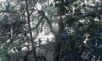 Imagem 6: Casa em Embu das Artes, próximo ao CT do São Paulo