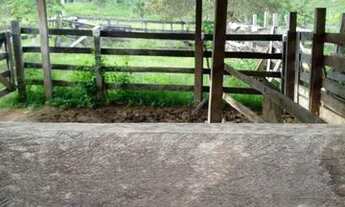 Imagem 6: 02 sítios emendados com 123 hectares em Caracaraí