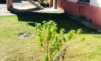 Imagem 6: Apartamento para alugar (valor 600 rais