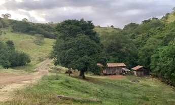 Imagem 3: Fazenda em Nova Laranjeiras Parana