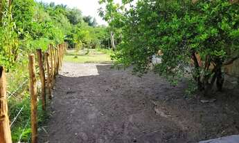 Imagem 3: Linda casa em São Francisco do Paraguaçu