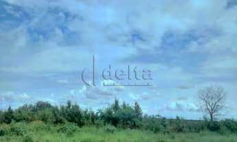 Imagem 4: Terreno à venda, Laranjeiras - Uberlândia/MG