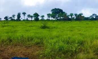 Imagem 2: Fazenda em Rio do Sono (80 km de Palmas