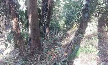 Imagem 3: São Paulo - Terreno Padrão - Tucuruvi