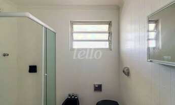 Imagem 6: São Paulo - Apartamento Padrão - Vila Romana