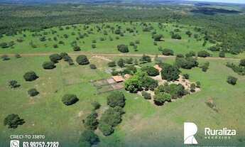 Imagem 3: Fazenda na região do vale do Araguaia - TO