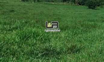 Imagem 5: Fazenda de 40 Alqueires em Santa Tereza GO