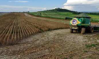 Imagem: Fazenda a venda