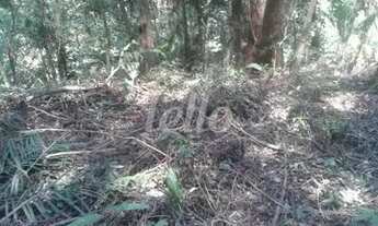 Imagem 5: São Paulo - Terreno Padrão - Tucuruvi