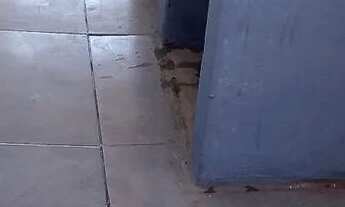 Imagem 6: Apartamento bairro Ipiranga