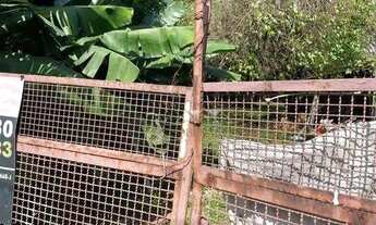 Imagem 3: Terreno à venda, 1000 m² por R$ 2.200.000,00 - São José - São Caetano do Sul/SP