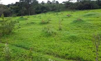 Imagem 6: Sitio com 14 Alqueires em Itamogi - Mau