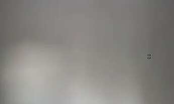 Imagem 4: Aluga-se casa Casa com 1 dormitório