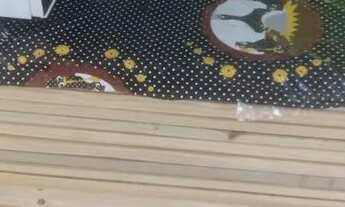 Imagem 7: Alugo apto anual mobiliado