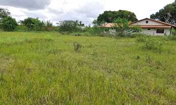 Imagem 6: ÁREA EM SÃO GONÇALO - 4000m²