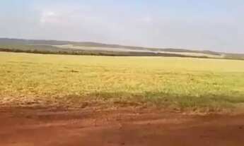 Imagem 5: Fazenda a venda em Nova Mutum - MT