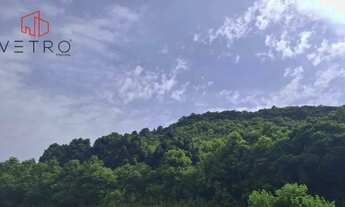 Imagem 3: Sítio à Venda em Gramado!