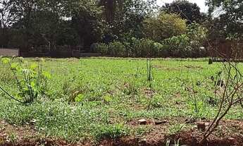 Imagem: Terrenos S.J.Rio Preto - SP