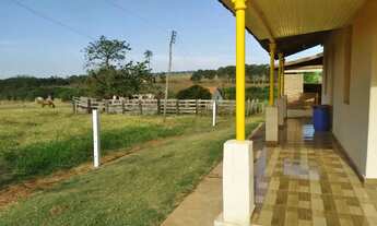 Imagem 6: Sítio Centenário à Venda São José do Rio Preto/SP