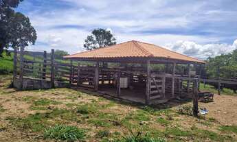 Imagem 6: Fazenda Cultura 61 Alqueires - Itapuranga-Go