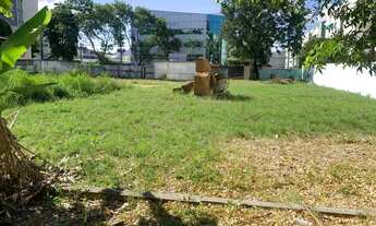Imagem 2: Terreno plano 1600m²