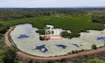 Imagem: Fazenda 303 Alqueires (1.469 Hectares) Flores