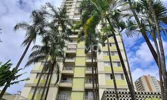 Imagem: Apartamento - Cambuí - Campinas