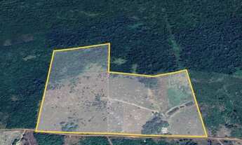 Imagem 7: Lindo Sítio (dois lotes unidos) com 136,5 hectares de área total na Félix Pinto