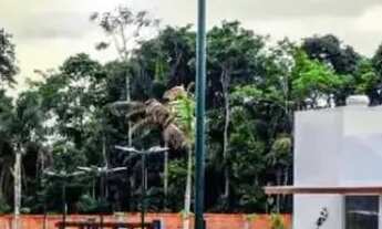 Imagem 2: O Vivenda das Marinas é um condomínio de lotes com acesso à praia