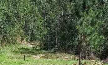 Imagem 6: Excelente Terreno Friburgo X Lumiar