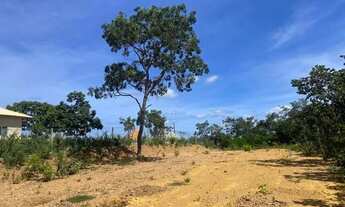 Imagem: Lote de 1.000 metros totalmente plano em