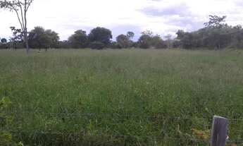 Imagem 6: Excelente Fazenda de 1.500 Hectares em Montes Claros Minas Gerais