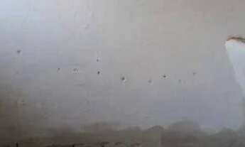 Imagem 3: Maravilhoso haras a venda em Itatiba SP área com 27 hectares confira!