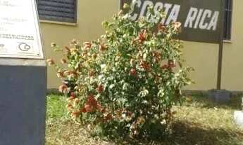 Imagem: Apartamento residencial à venda, Presidente