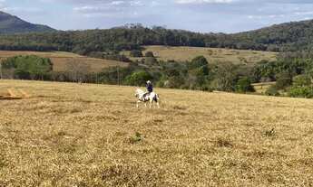 Imagem 6: Fazenda de 65 alqueires em Pirenópolis-GO