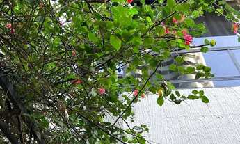 Imagem 12: Alugo Mansão Triplex Na Joao Balbi