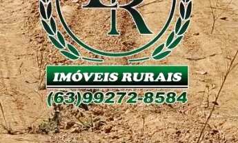 Imagem 5: Fazenda 112,5 Alqueires Beira Rio Próximo a Palmas