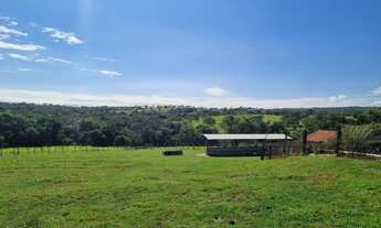 Imagem 6: A fazenda mais barata da região