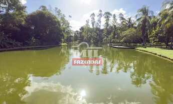 Imagem: Sitio 10 alqueires (48,4 hectares) Piracanjuba