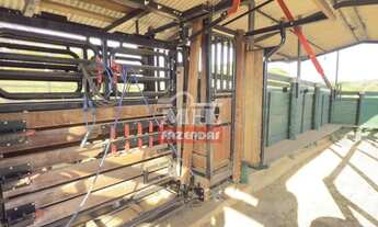 Imagem 4: Sitio 10 alqueires (48,4 hectares) Piracanjuba - Go