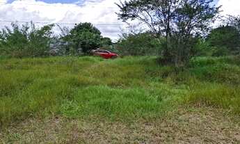 Imagem 3: ÁREA EM SÃO GONÇALO - 4000m²