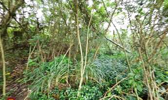 Imagem 4: Terreno para venda Ilha próximo a praias do Norte em Florianópolis