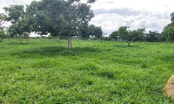 Imagem 7: Chácara disponível para venda em São Miguel do Passa Quatro Goiás