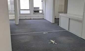 Imagem 7: COMERCIAL - CERQUEIRA CÉSAR - SP